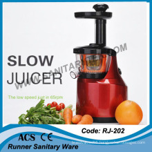 Household Slow Speed Multi-Function Power Juicer with AC Motor (RJ-202)